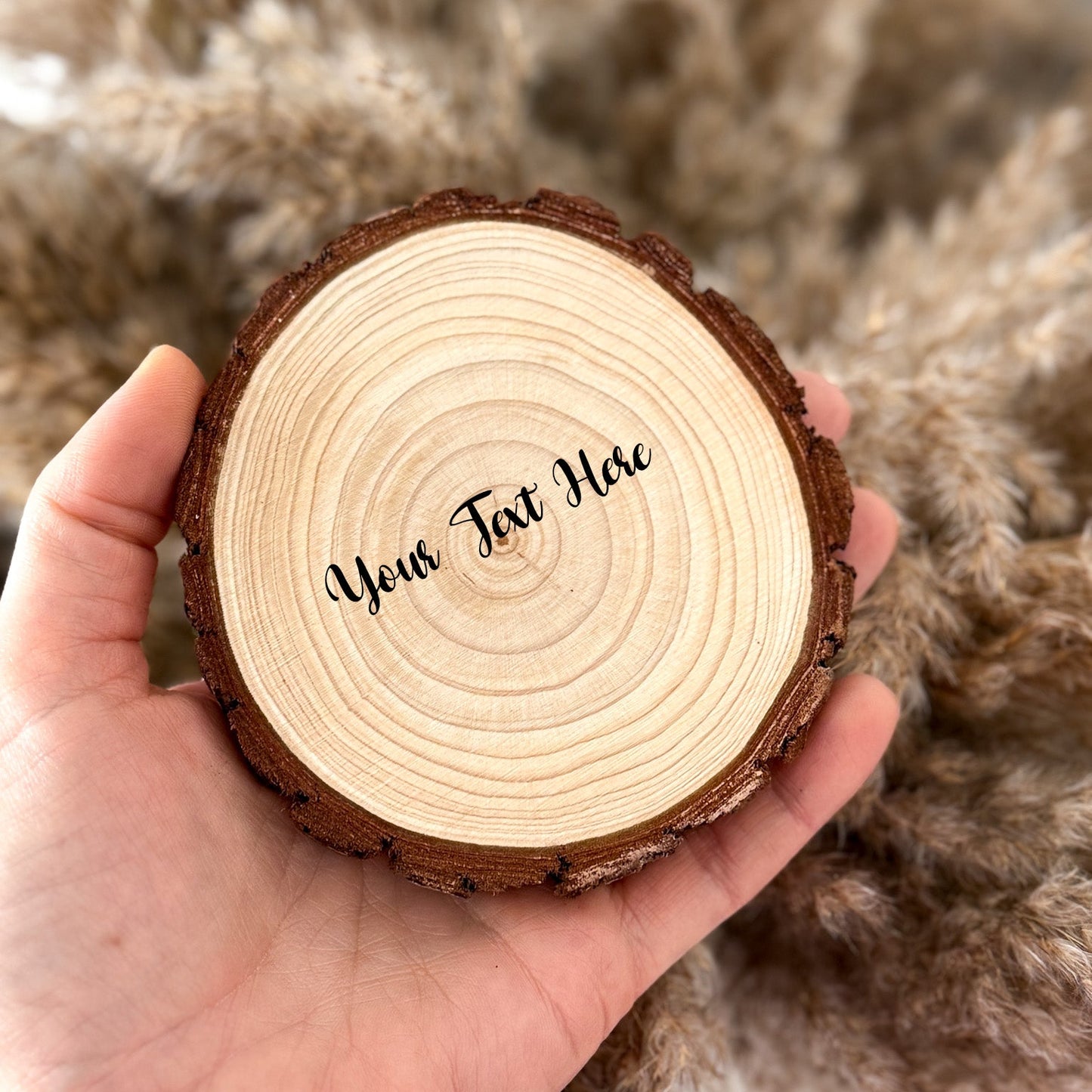 Wood Photo Bark Slice