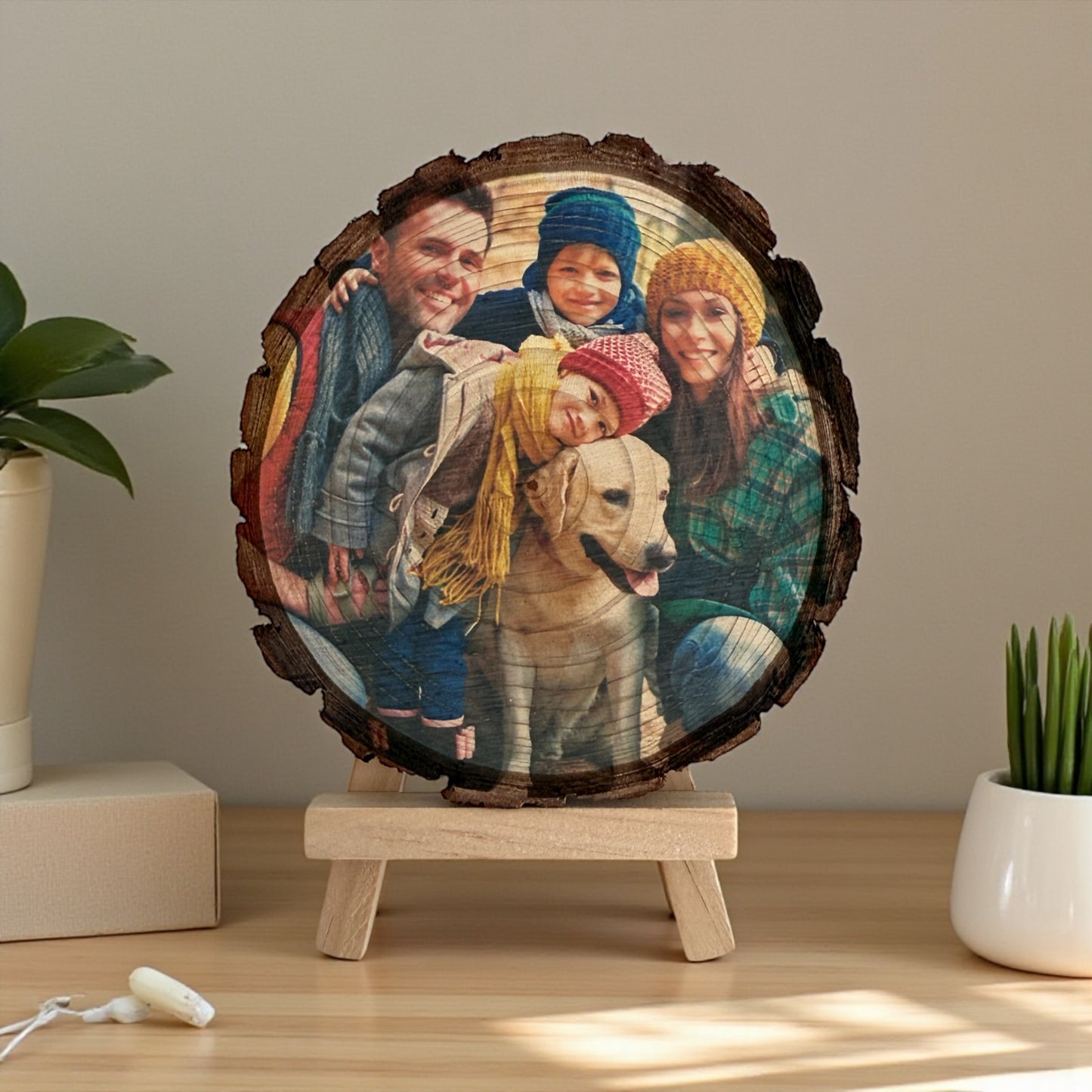 Wood Photo Bark Slice