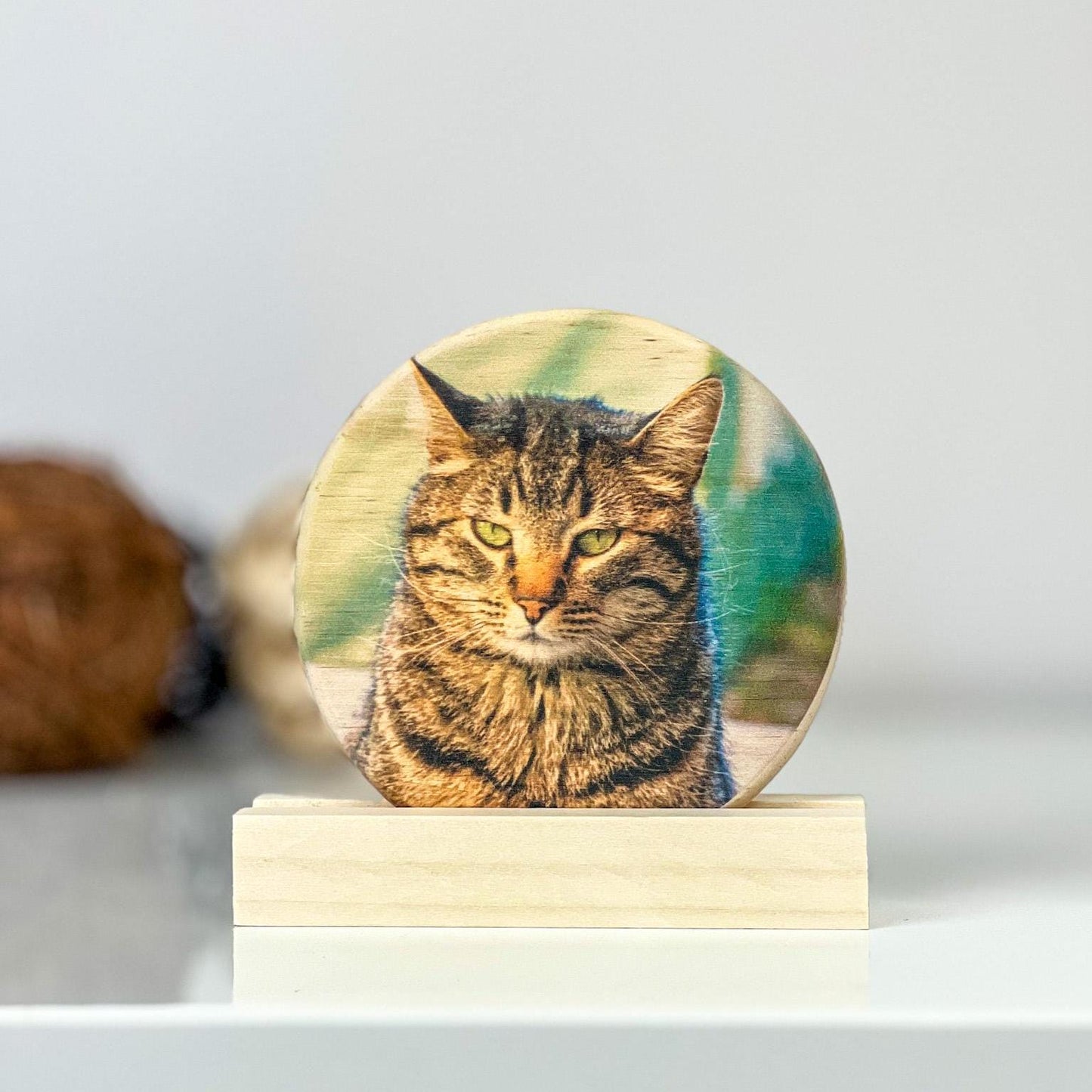 Cat Portrait, Cat Loss Gift, photo on wood, wooden photo