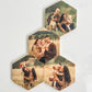 Hexagon Wood Photo Magnets