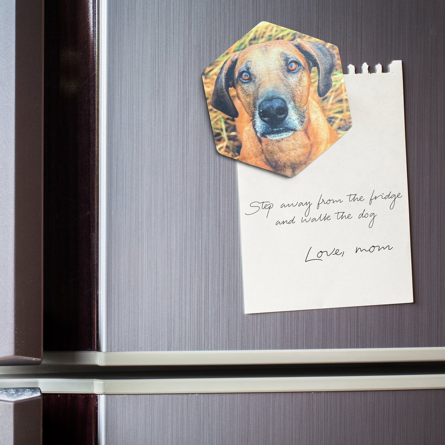 Custom Hexagon Wood Photo Magnets - Personalized Fridge Keepsake Gift