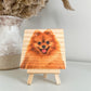 Pet Portrait, pet&#39;s photo on wood