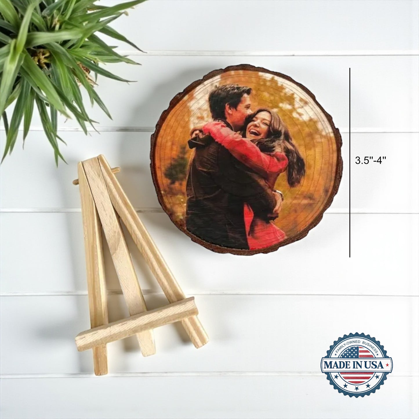 Wood Photo Bark Slice